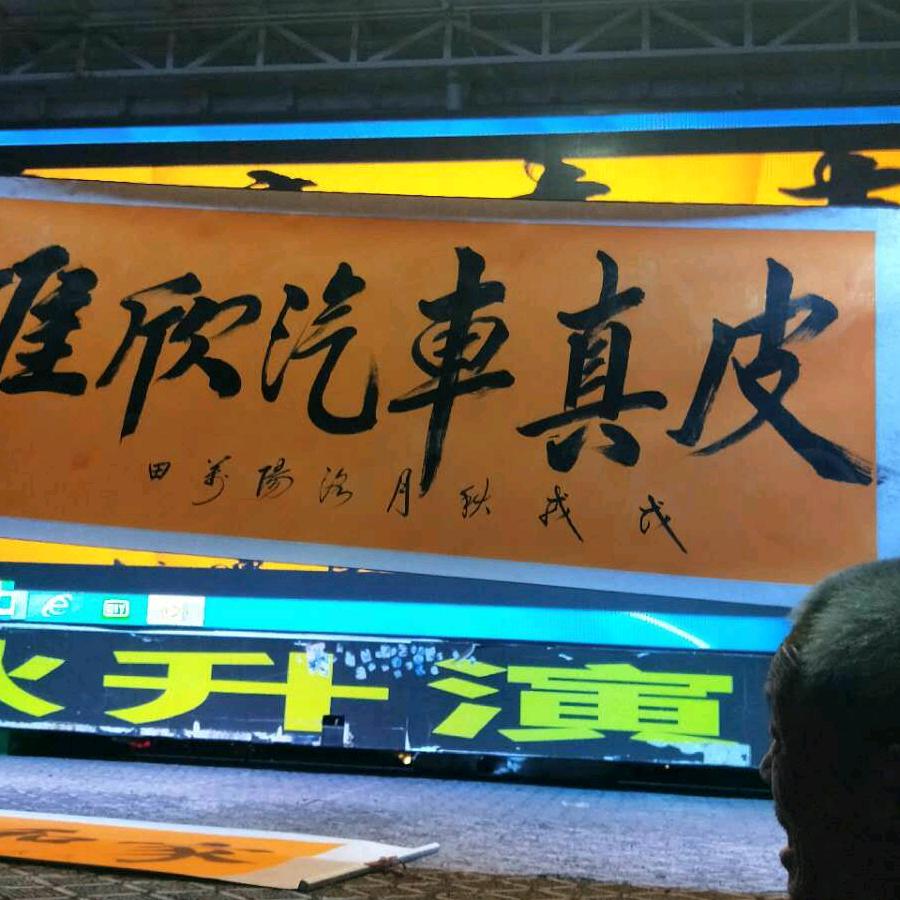 雅欣汽车真皮(山东莱芜，新泰)