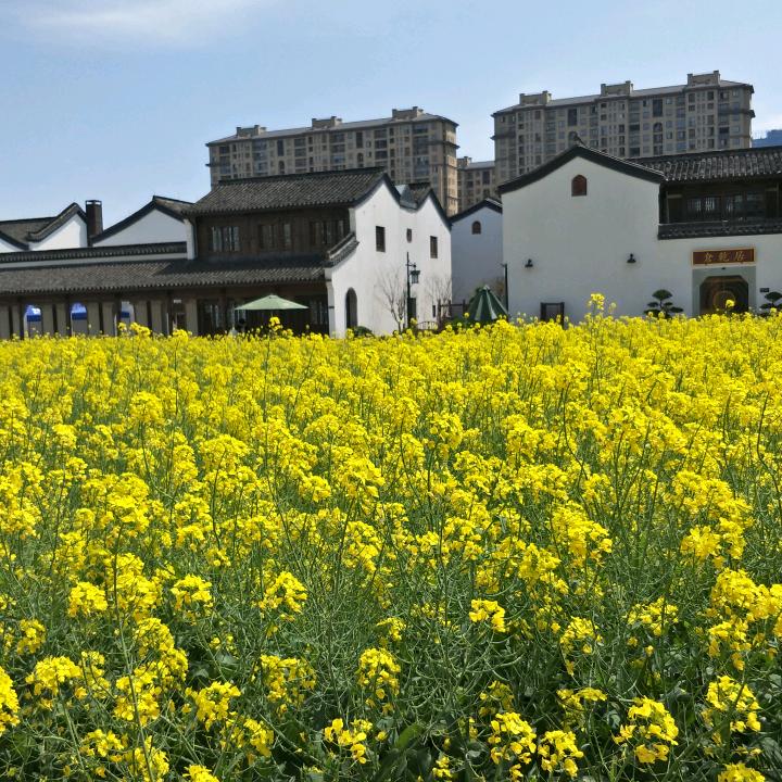 平凡达人