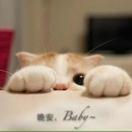 猫小咪🍭🍭