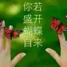 美美