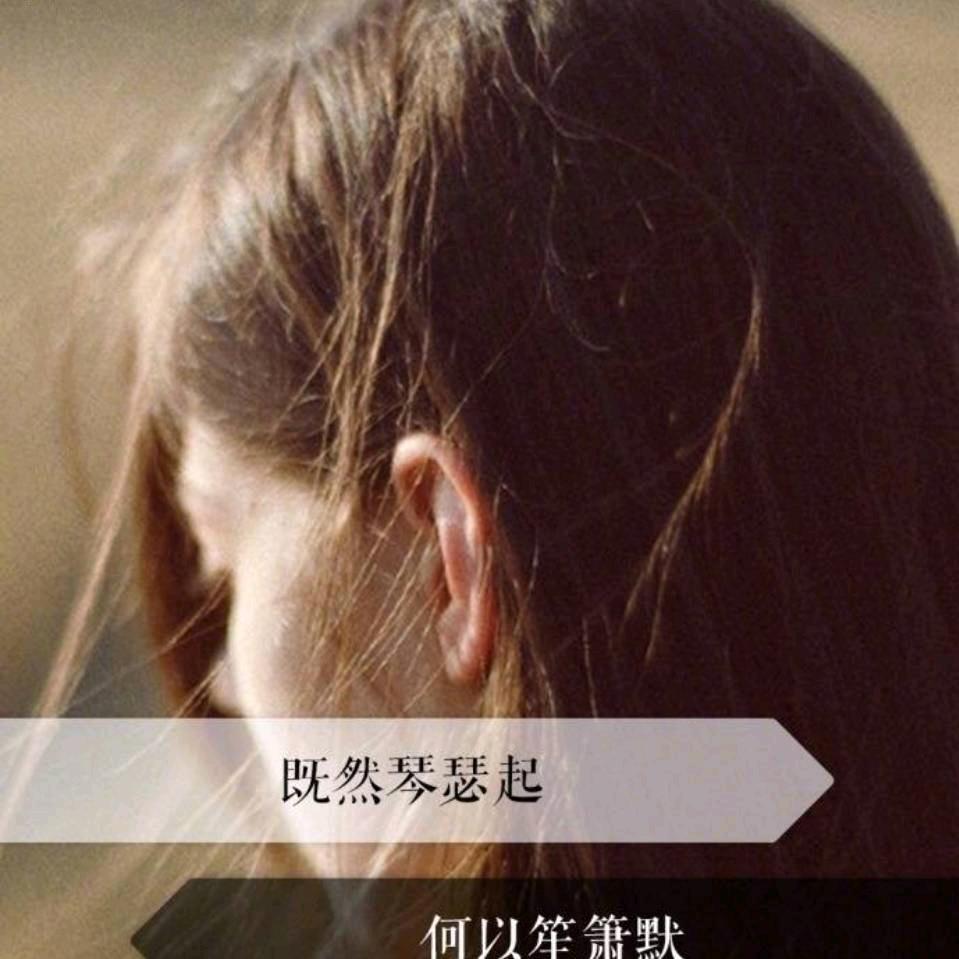 青青子衿