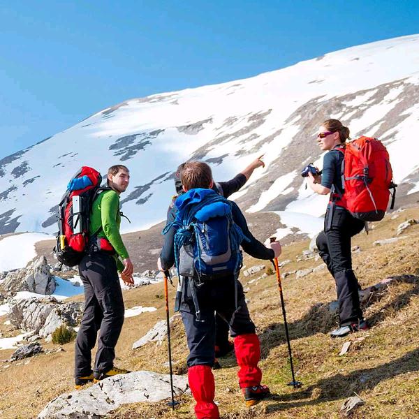 河津金蚂蚁户外