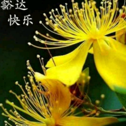 🌹👉夕阳美👈🌹