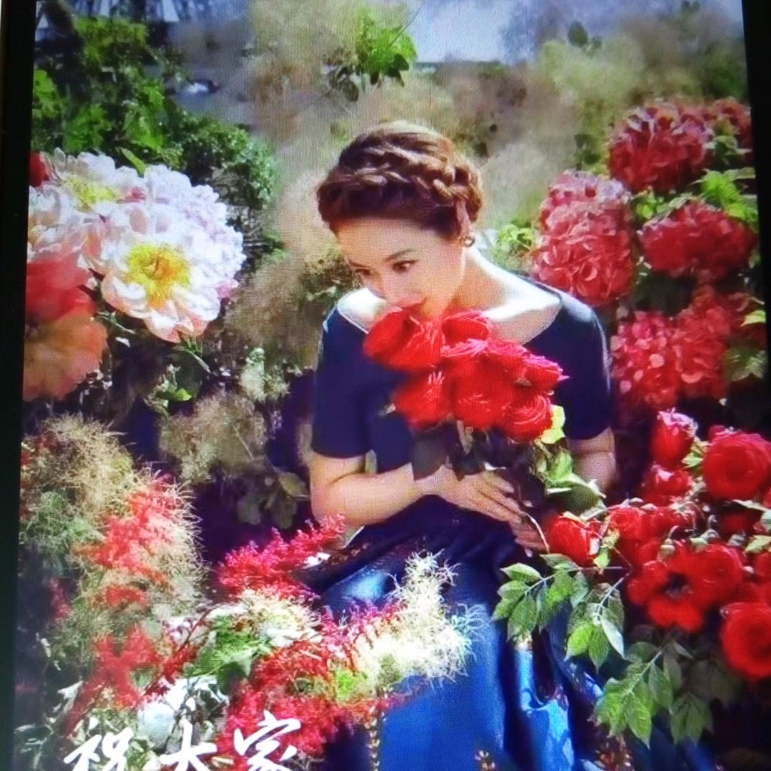 一花一世界
