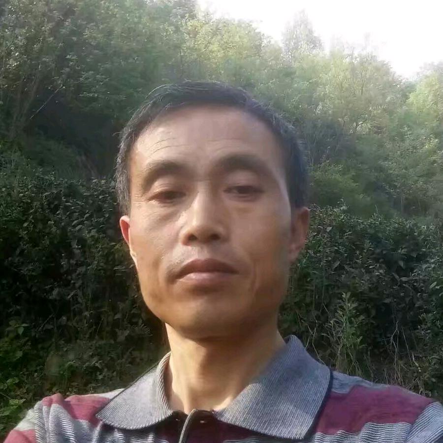 随遇而安