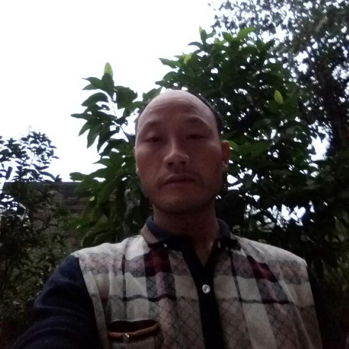 重生成长