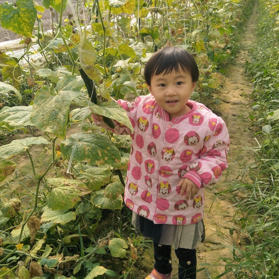 梦香园蛋糕🍰房：张集店：