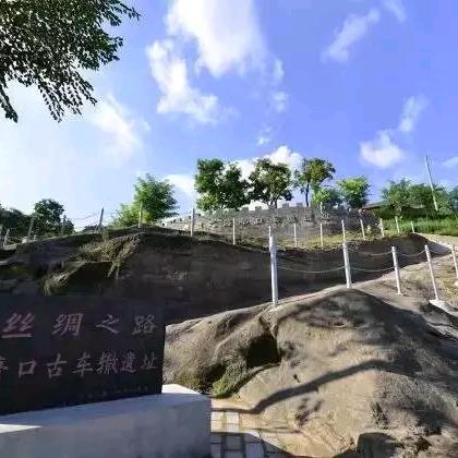 丝路花语