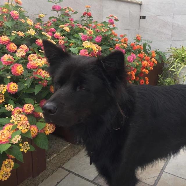 知足常乐🌸：