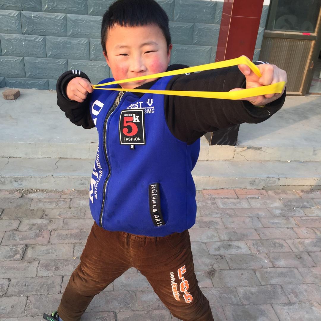 无架弓主