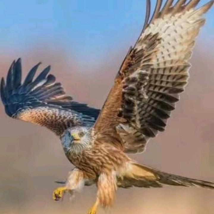 吐尔迪·尼亚孜