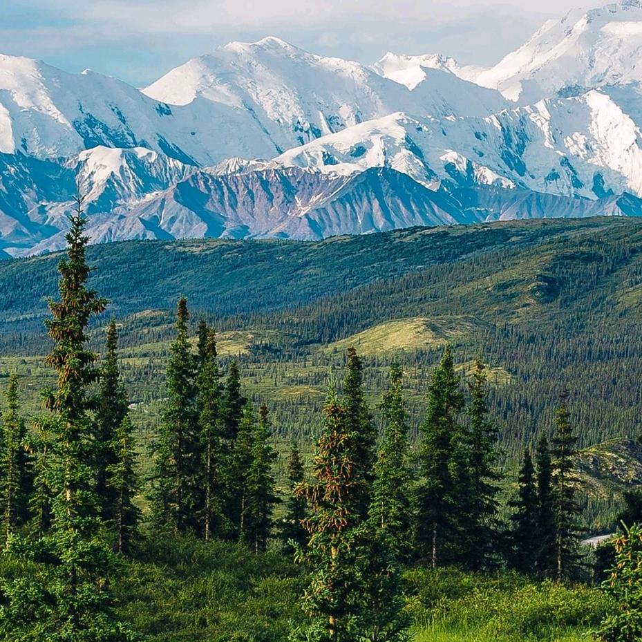 来抖音就是寻找快乐的