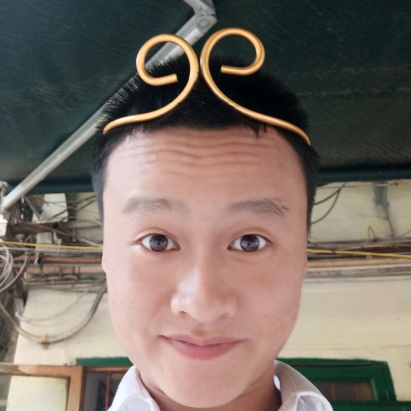 衡阳人刘振
