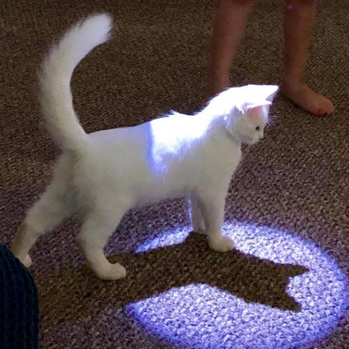 身高一米八~~~才怪