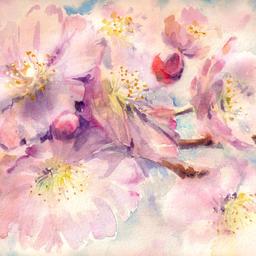 桃花源
