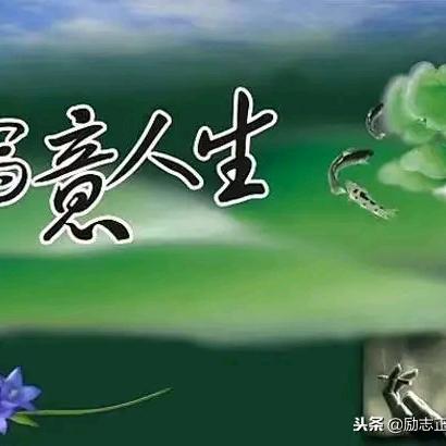 妃诗奴品牌女装