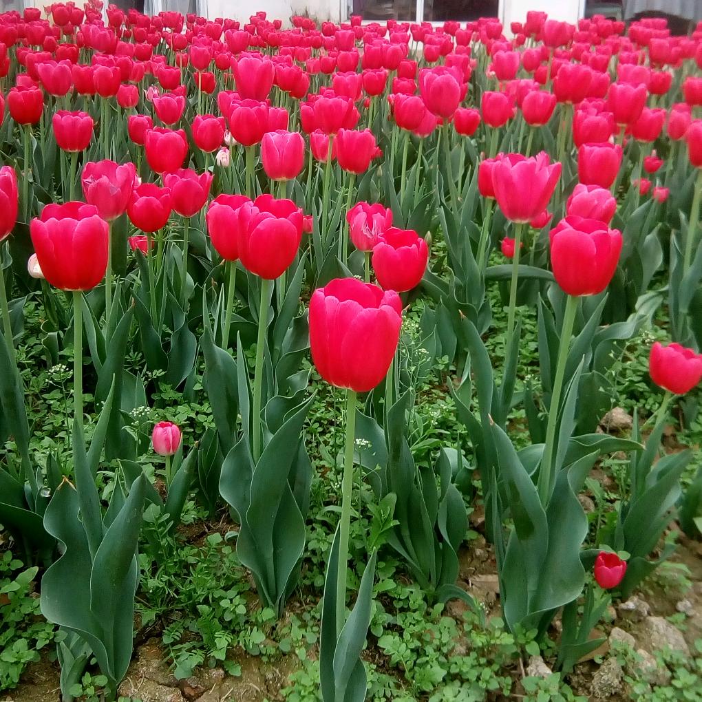 用户冬天的艳阳玲玲姐