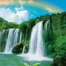 怀揣梦想的生活如此简