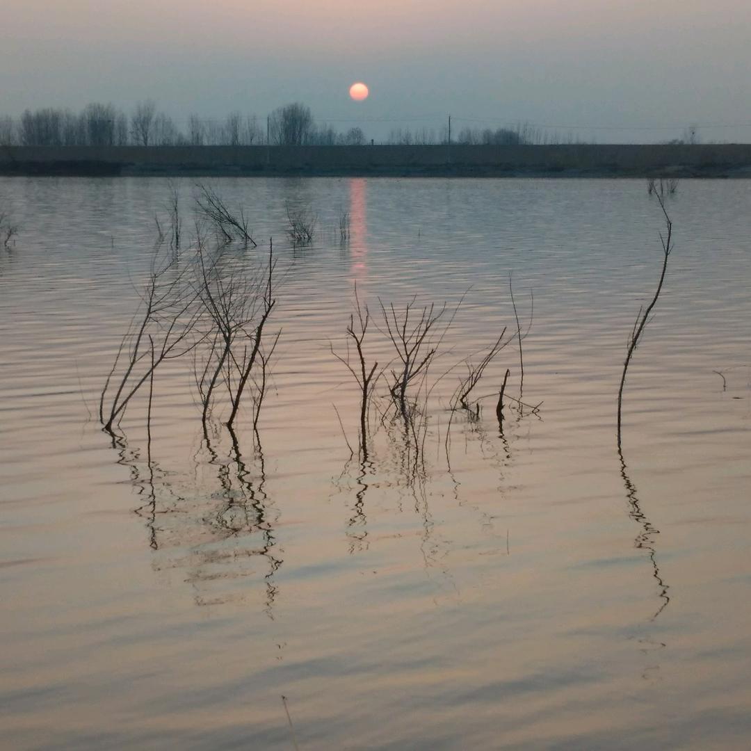 阿满的娱乐生活