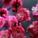 [愉快]快乐人生