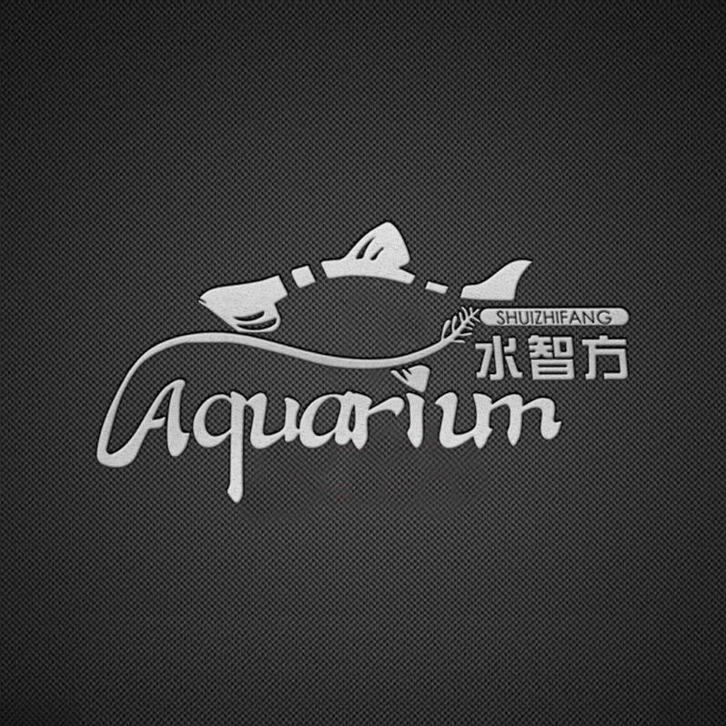 水智方