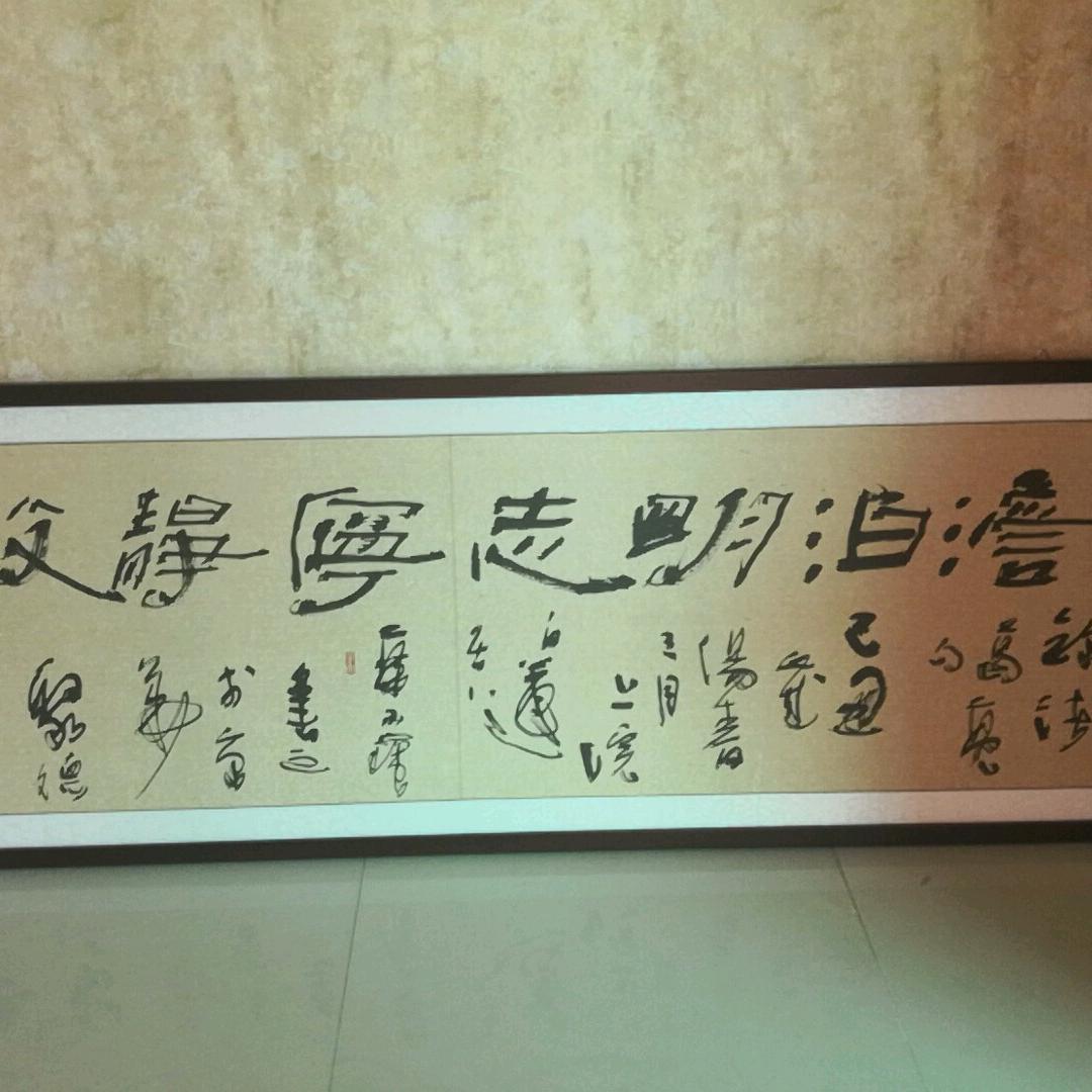 一条游泳的鱼
