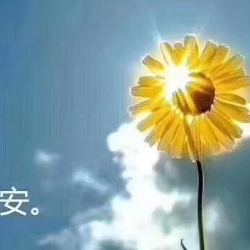小豆豆