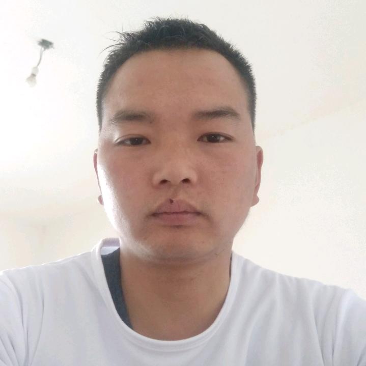晓磊58520