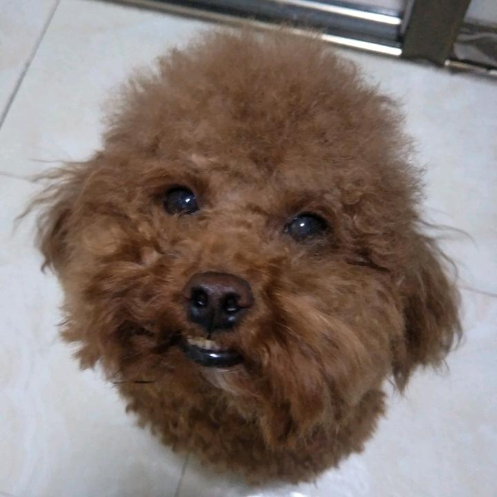 我是甜甜呀🥰💕