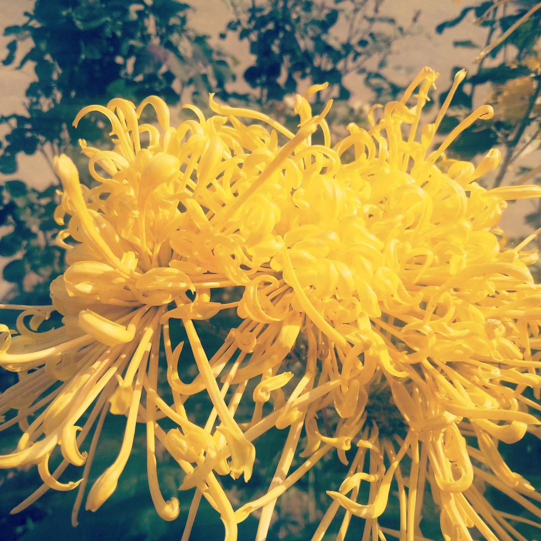 开心每一天哦耶