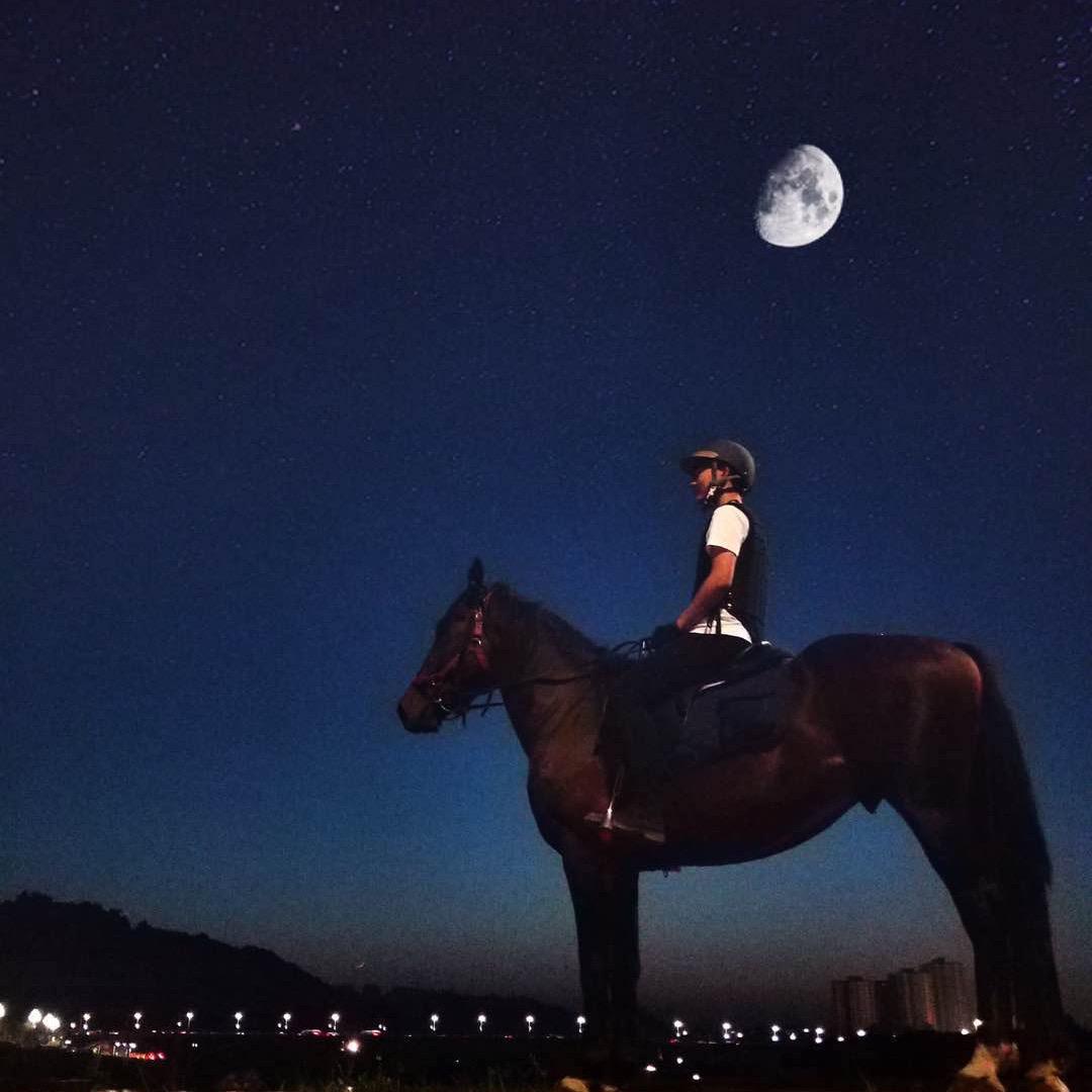 爱骑马的—Doctor成