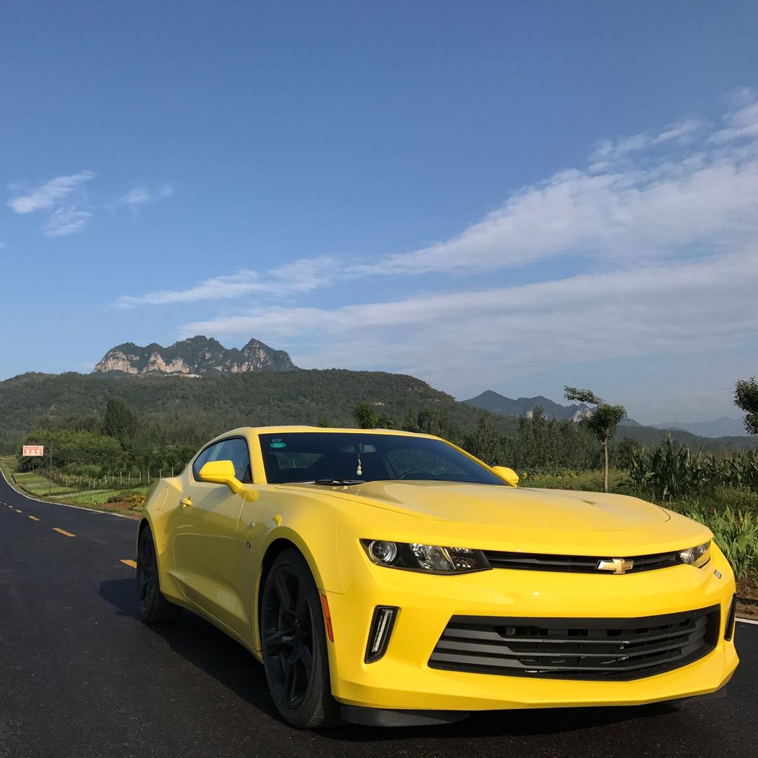 高大科名烟名酒名茶