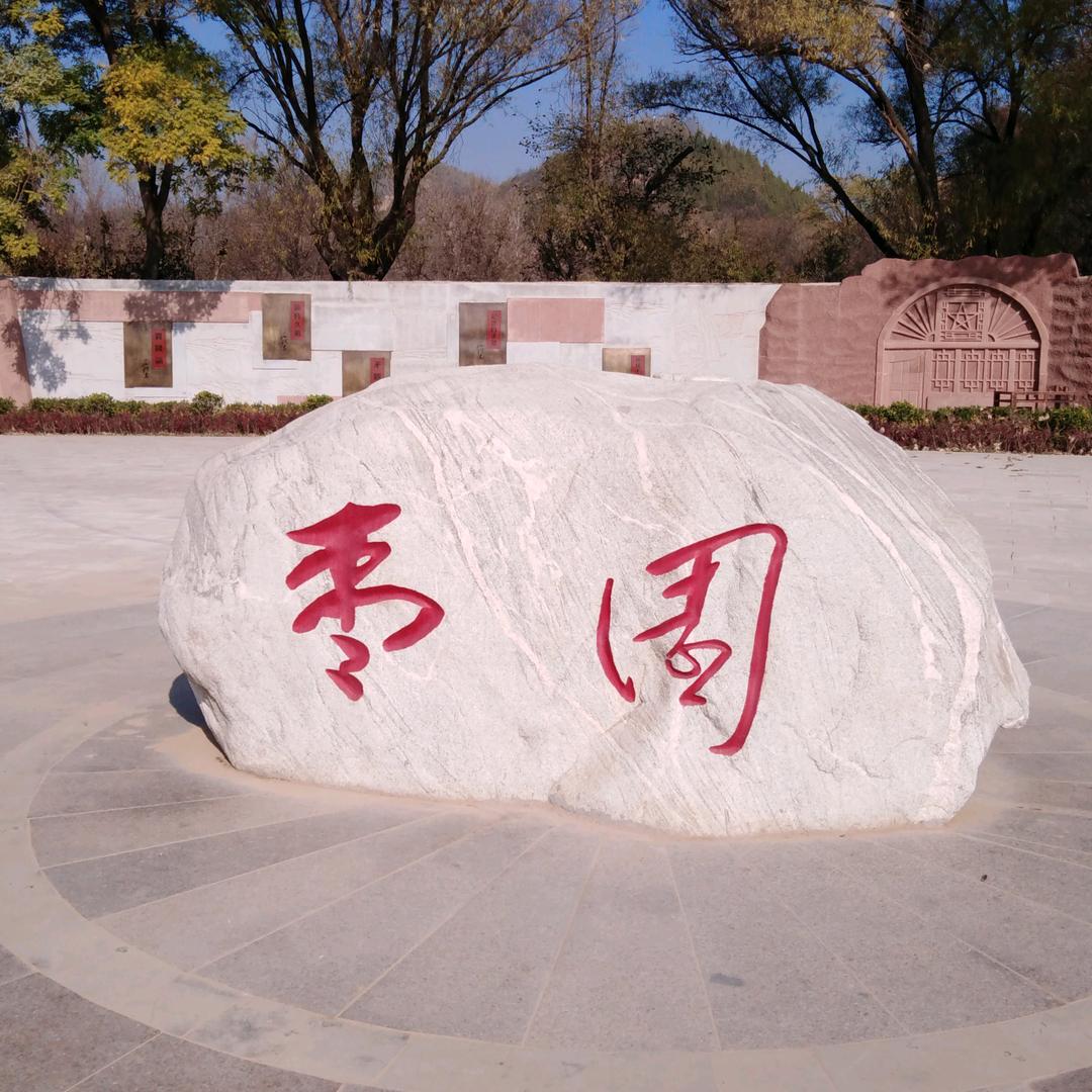 鲁Q车