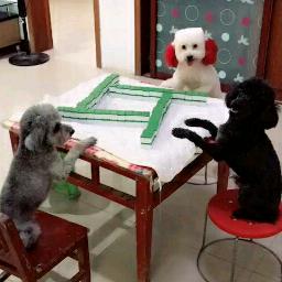 专业食堂承包
