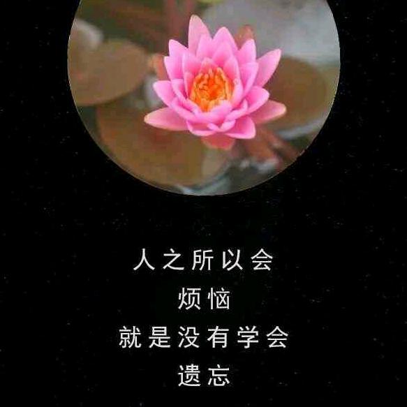 一杯绿茶