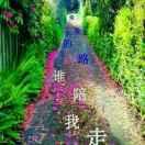 未来的路谁陪我走