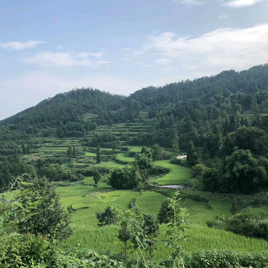 健康平安喜乐