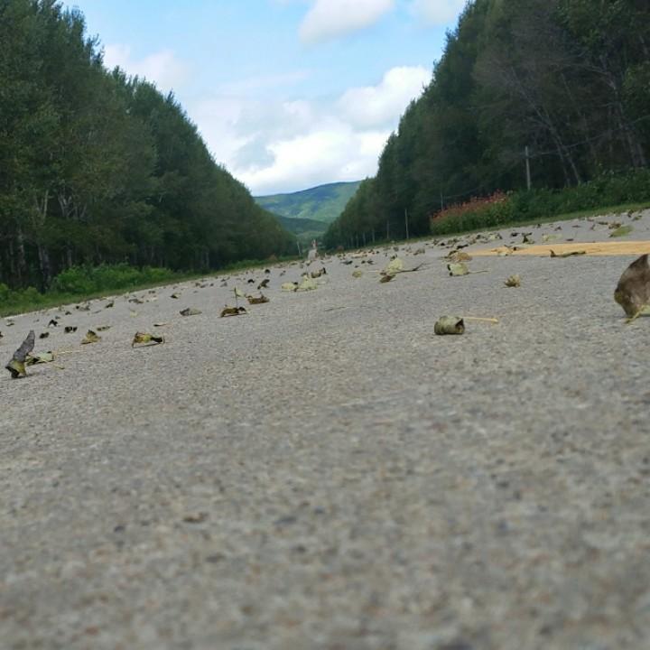 时光少年依旧蓝