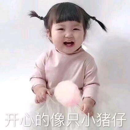 稻田初见烘焙·花艺官方号