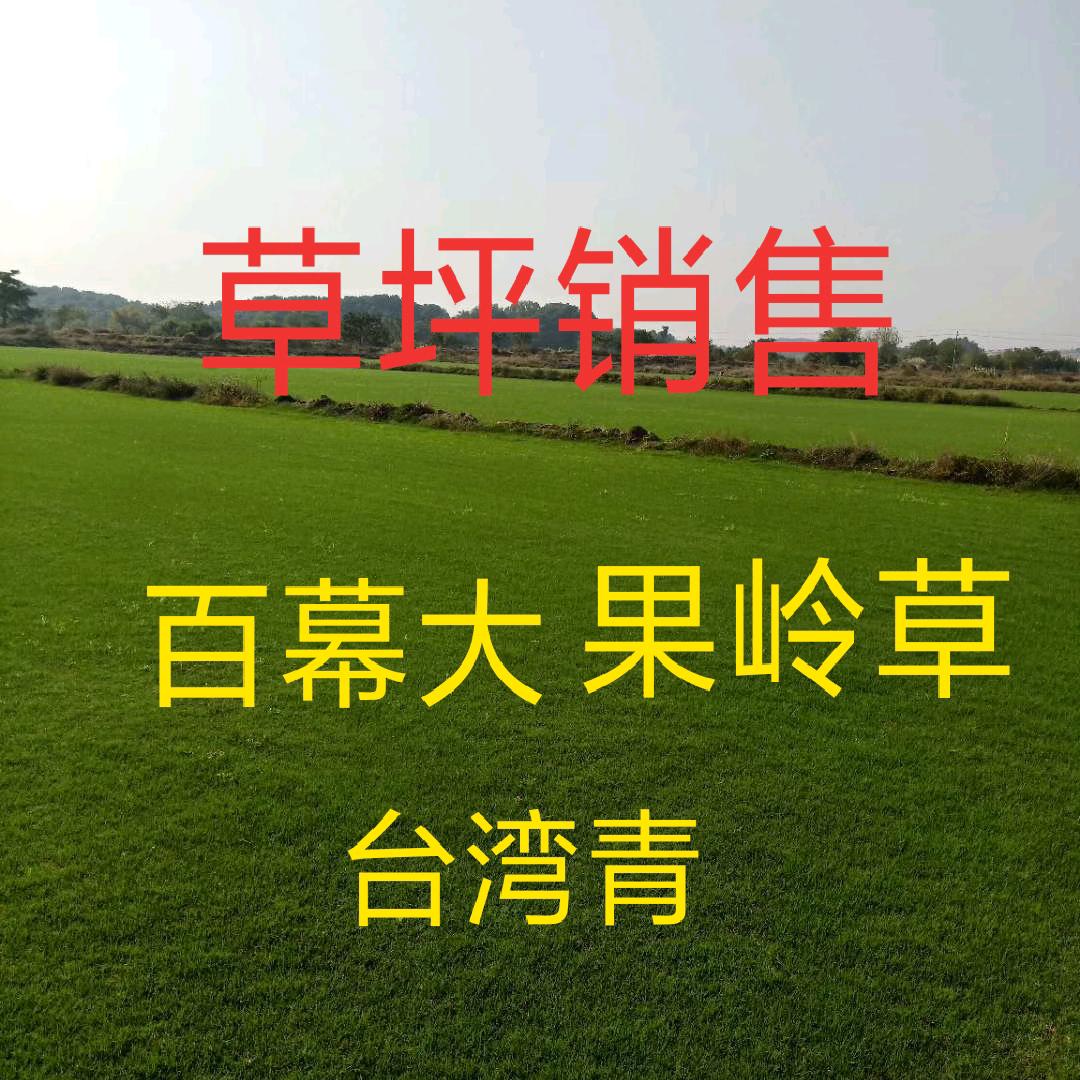 饶雨