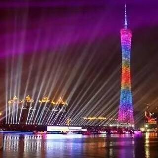 紫色月季花