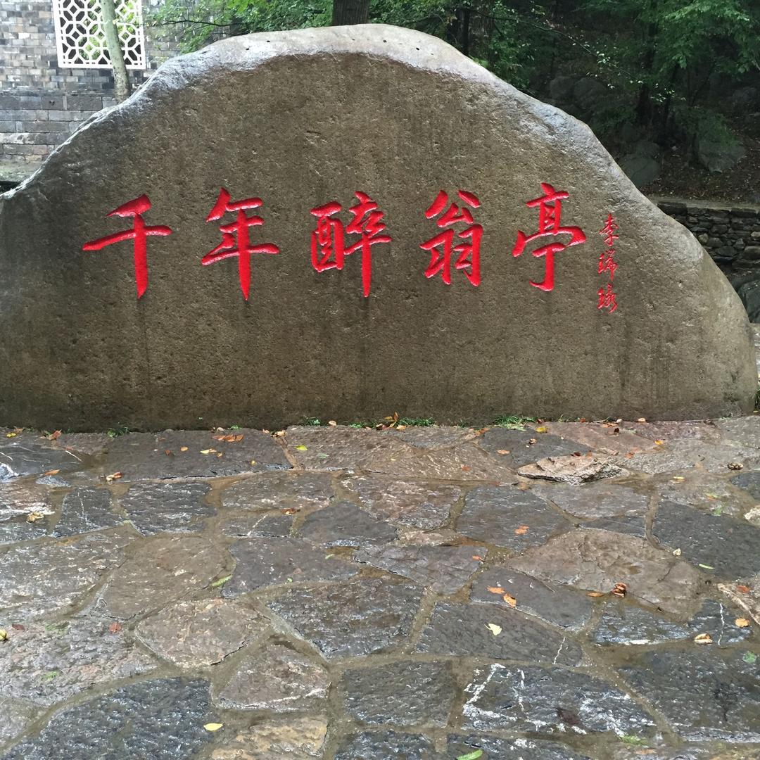 静待花开