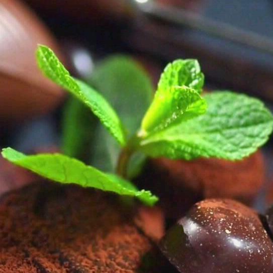 青岛书香人家商贸有限公司