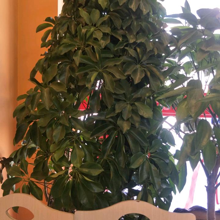 鞍山灿味轩快餐