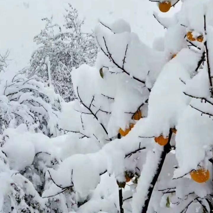 姐的范儿！！！