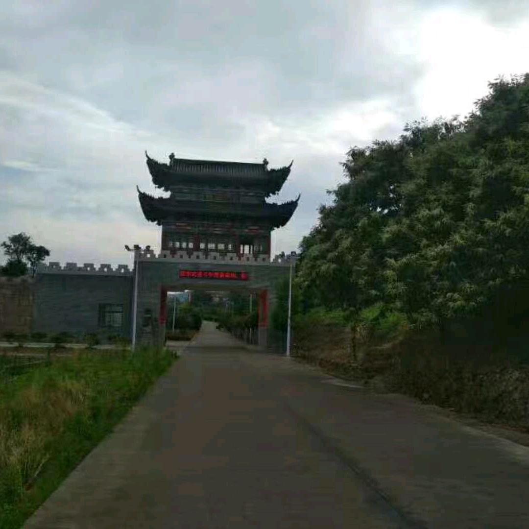 现在好伤心，人生如酒