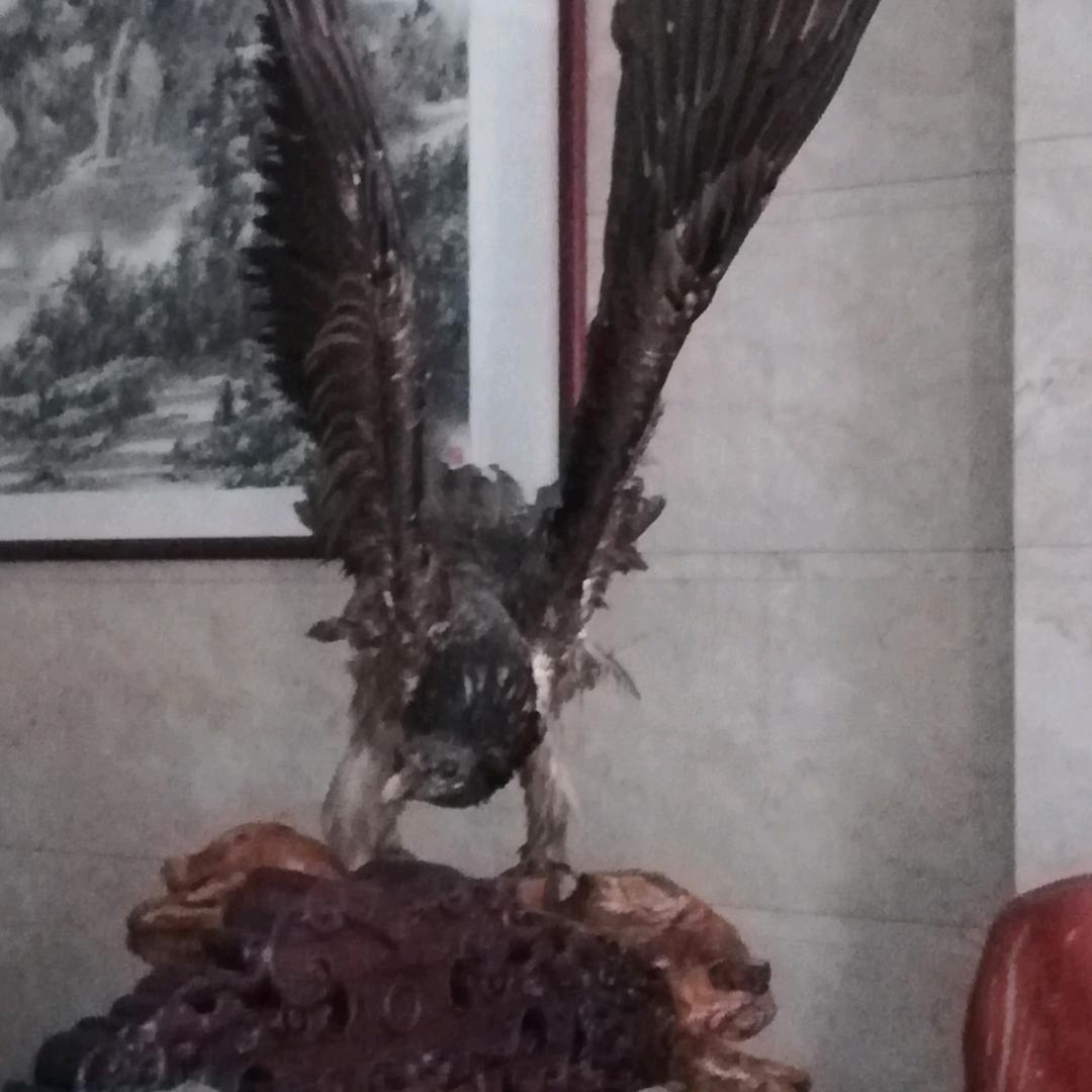 品元白茶
