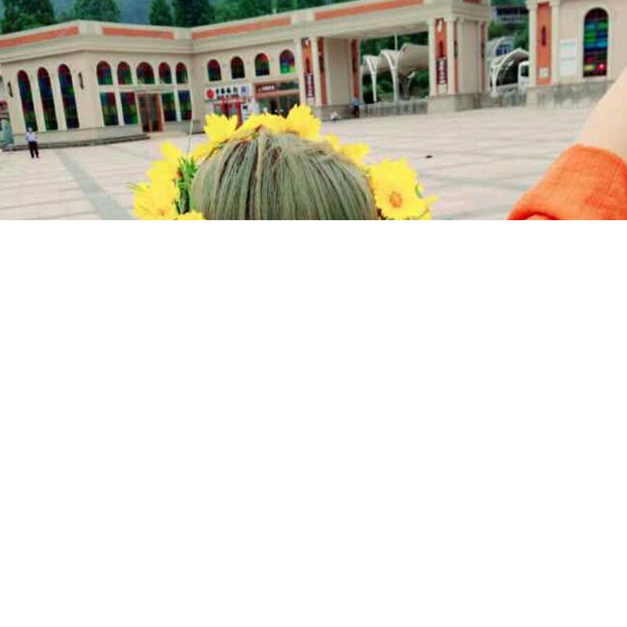 芒果爱布丁
