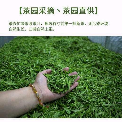 东丽30而立