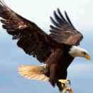 我在黄昏路上等你